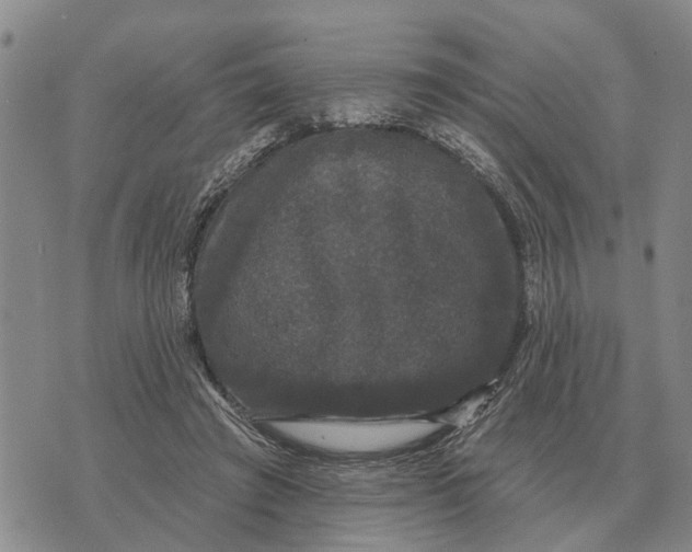 X0000072540401200608041627