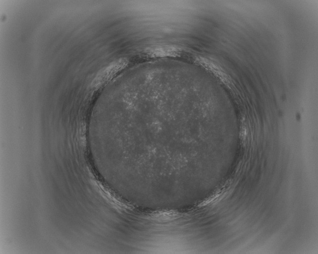 X0000072540402200608041627