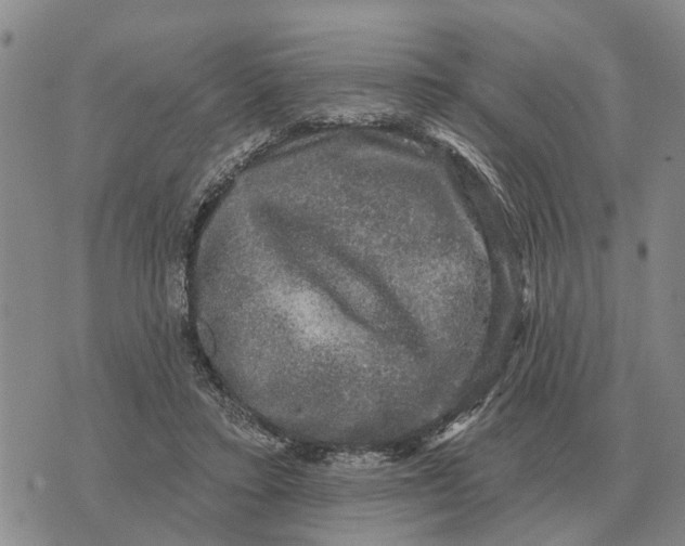 X0000072540403200608041627