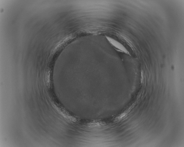 X0000072540404200608041627