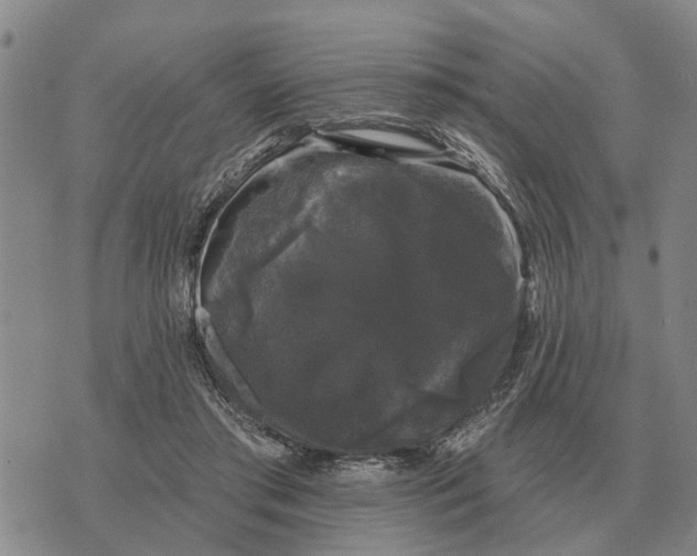 X0000072540405200608041627