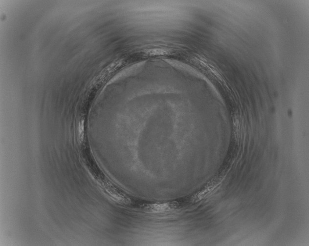 X0000072540406200608041627