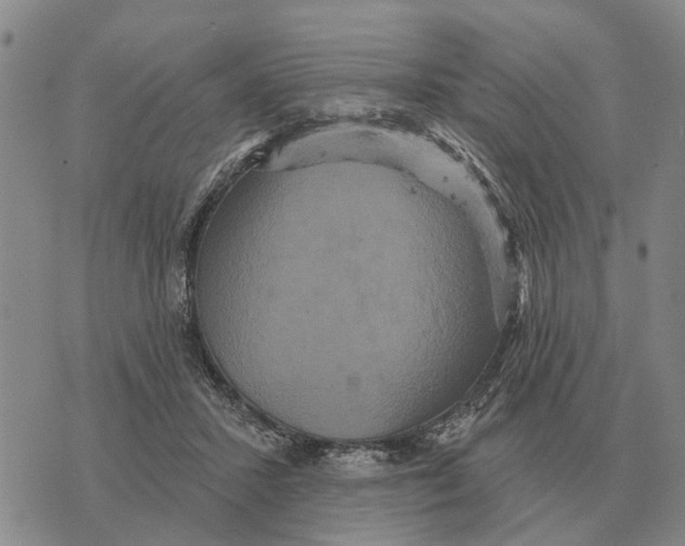 X0000072540407200608041627