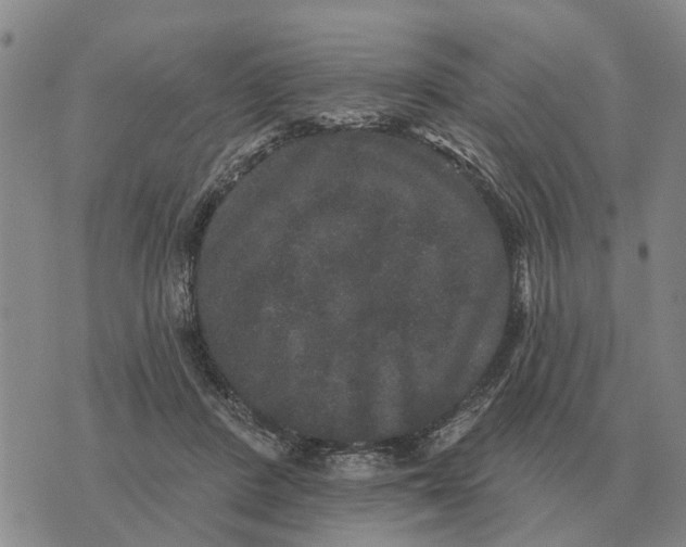 X0000072540408200608041627