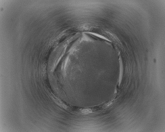 X0000072540409200608041627