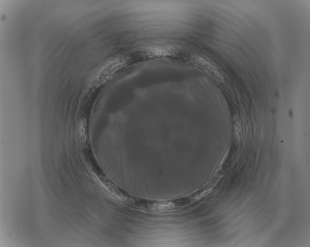 X0000072540410200608041627