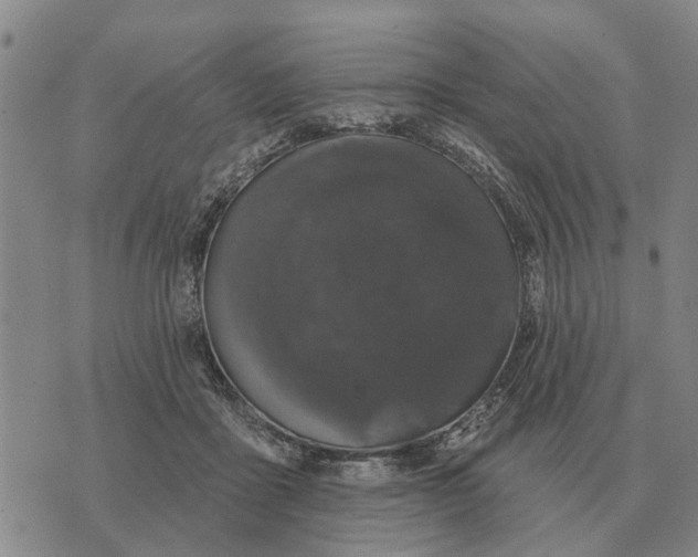 X0000072540411200608041627