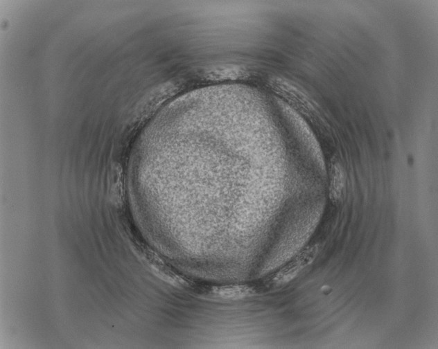 X0000072540414200608041627