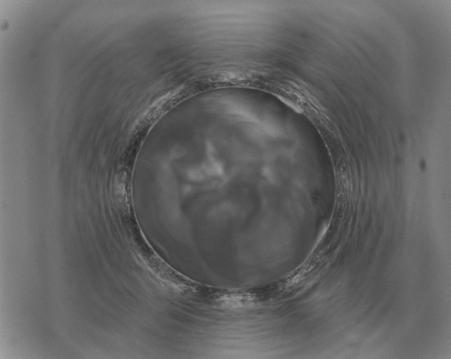 X0000072540415200608041627