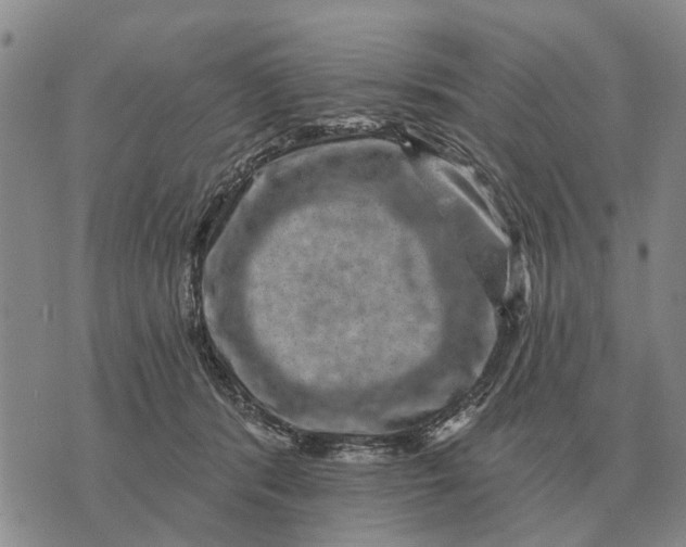 X0000072540416200608041627