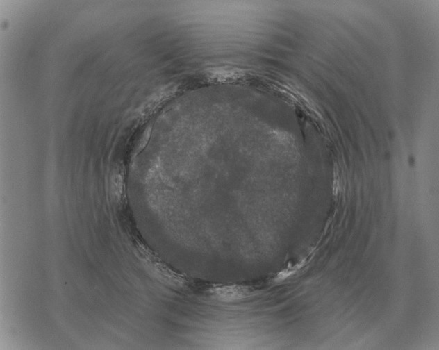 X0000072540417200608041627