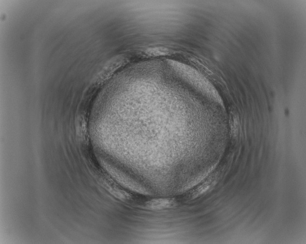 X0000072540418200608041627