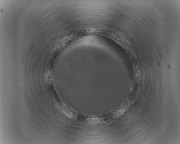 X0000072540419200608041627