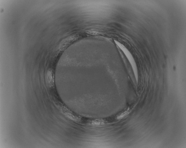 X0000072540420200608041627