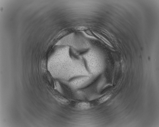 X0000072540421200608041627