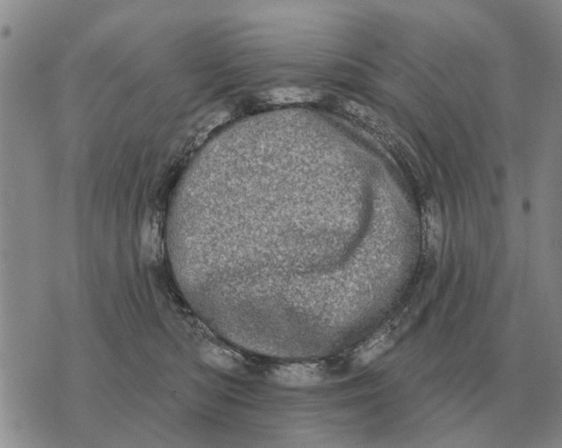 X0000072540422200608041627