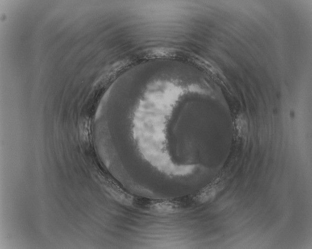 X0000072540423200608041627