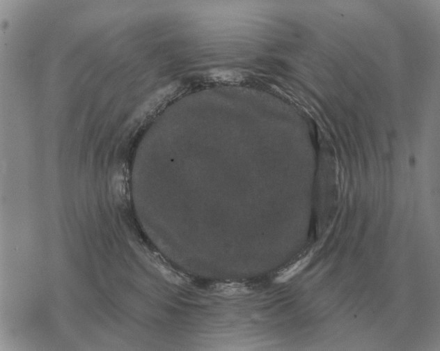 X0000072540424200608041627