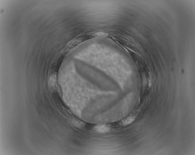 X0000072540425200608041627