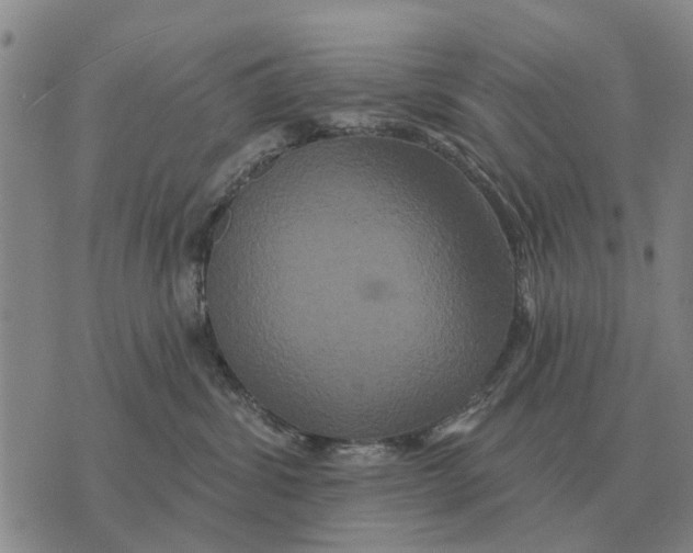 X0000072540428200608041627