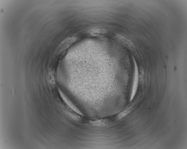 X0000072540430200608041627