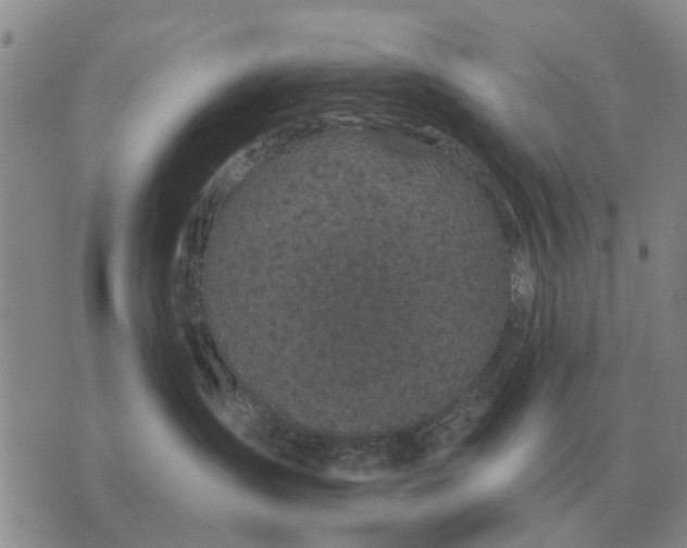 X0000072540431200608041627