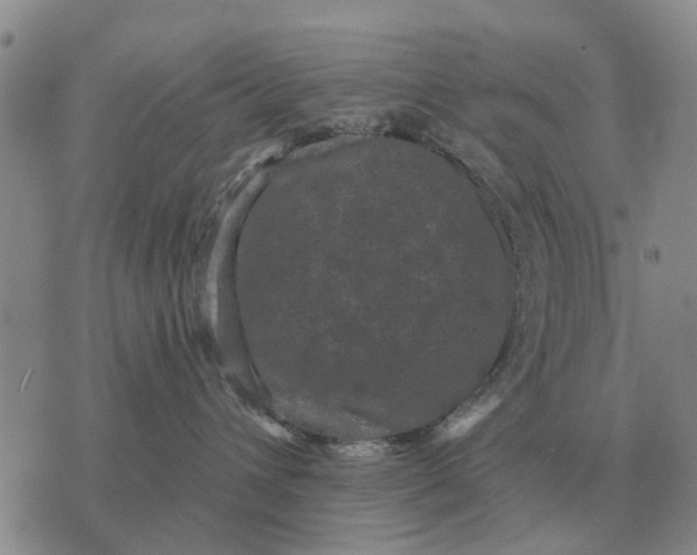 X0000072540432200608041627