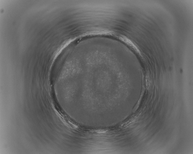 X0000072540436200608041626