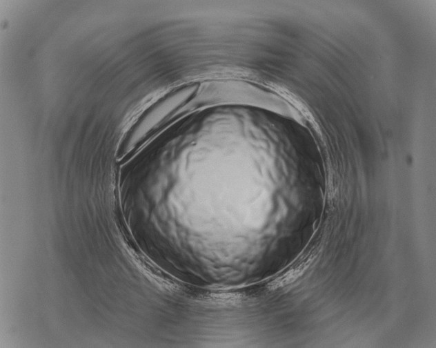 X0000072540437200608041626