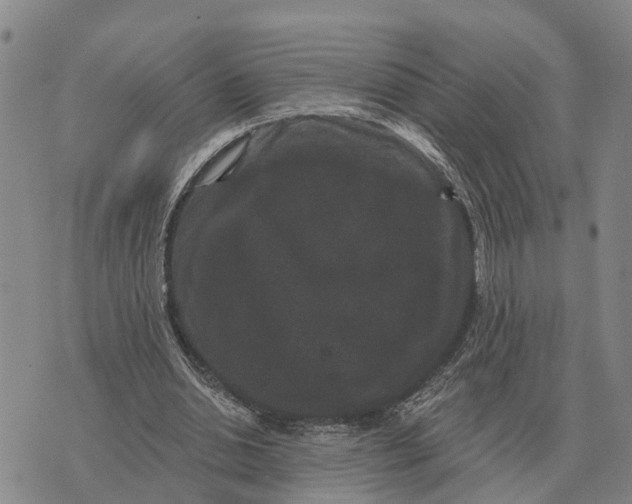 X0000072540438200608041626