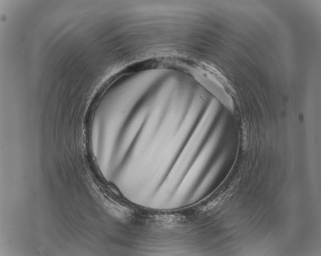 X0000072540439200608041626