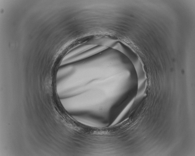 X0000072540440200608041626