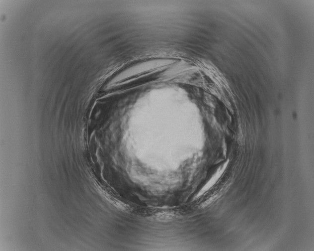 X0000072540441200608041626