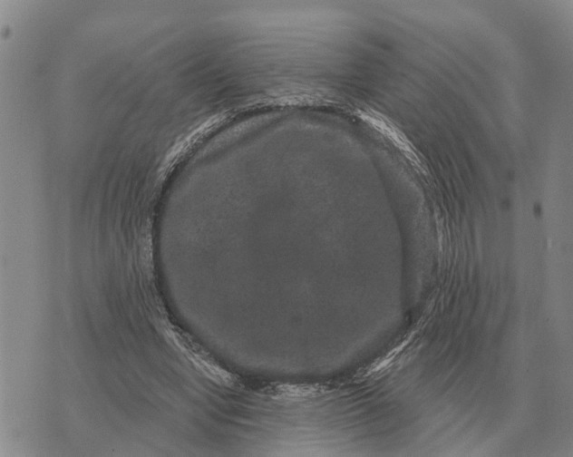 X0000072540442200608041626