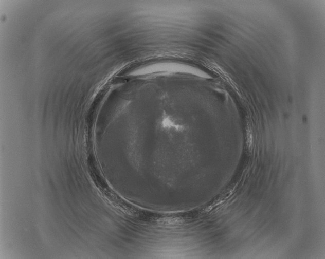 X0000072540444200608041626