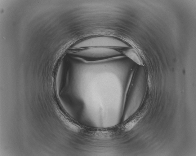 X0000072540445200608041626