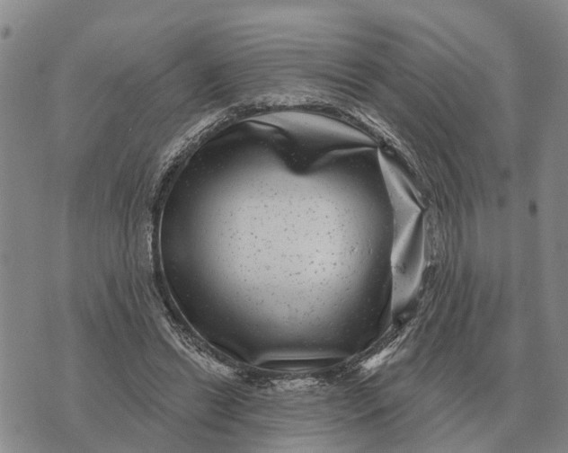 X0000072540446200608041626