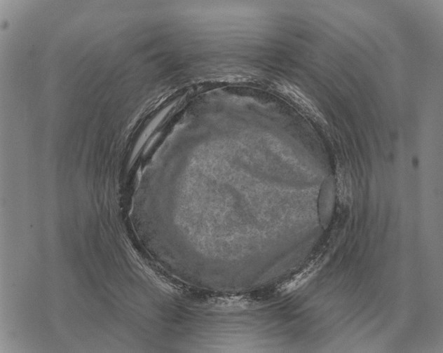 X0000072540449200608041626