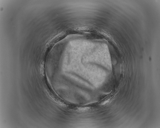 X0000072540450200608041626