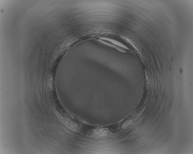 X0000072540451200608041626