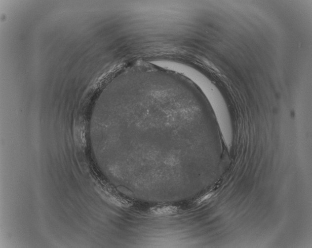 X0000072540452200608041626