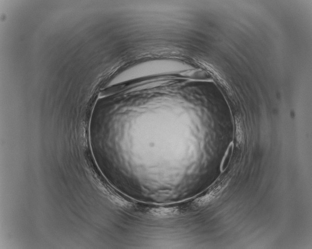 X0000072540453200608041626