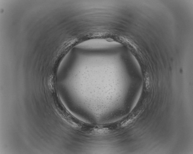 X0000072540455200608041626