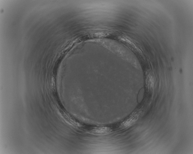 X0000072540459200608041626