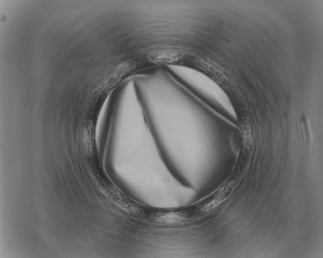 X0000072540460200608041627