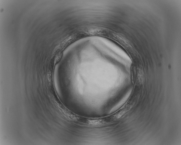 X0000072540461200608041627