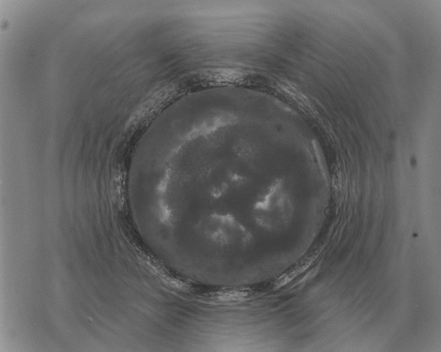 X0000072540462200608041627