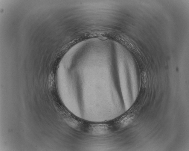 X0000072540463200608041627