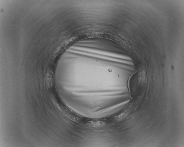 X0000072540464200608041627