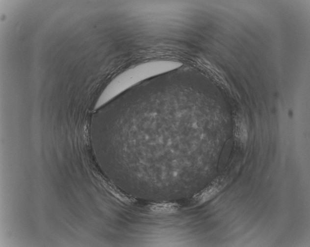 X0000072540465200608041627